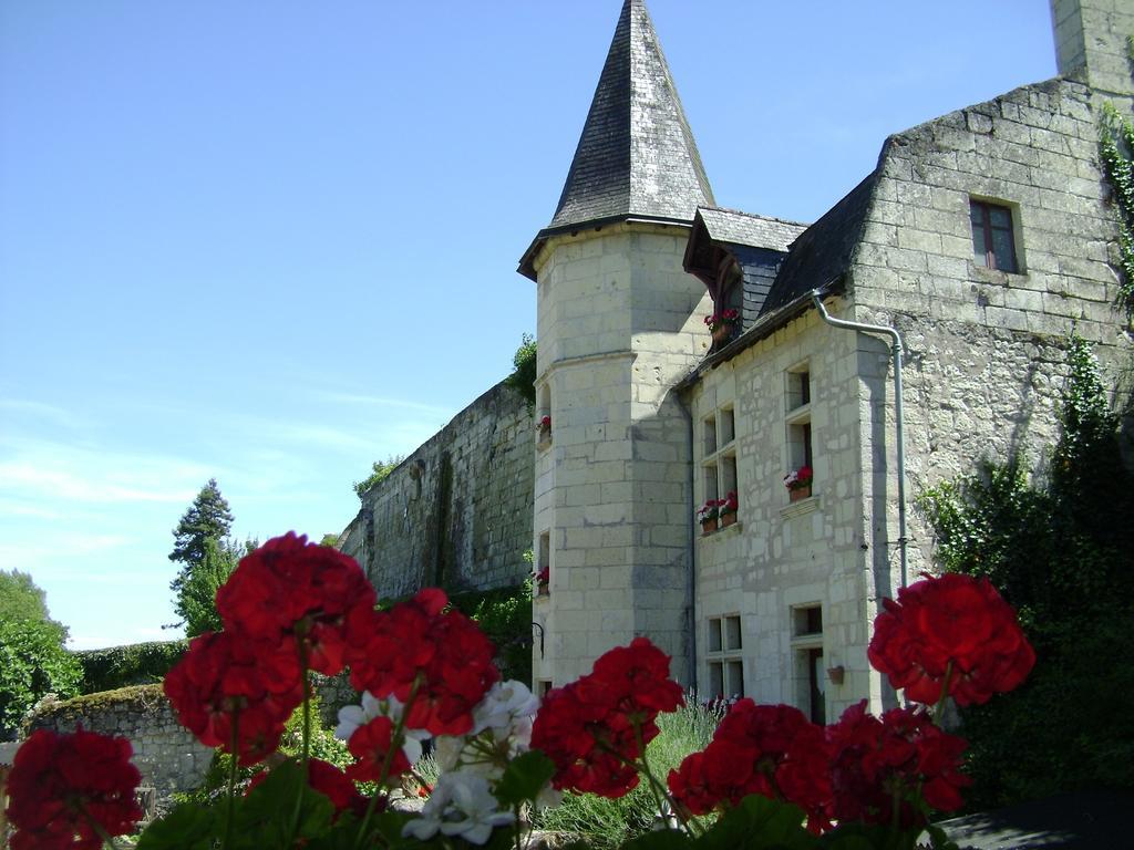 Le Petit Hureau Saumur Esterno foto
