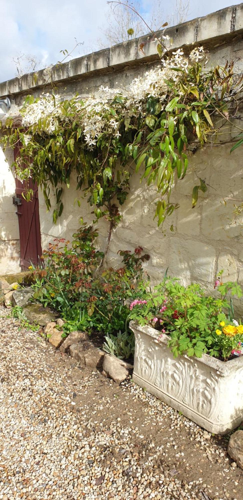 Le Petit Hureau Saumur Esterno foto